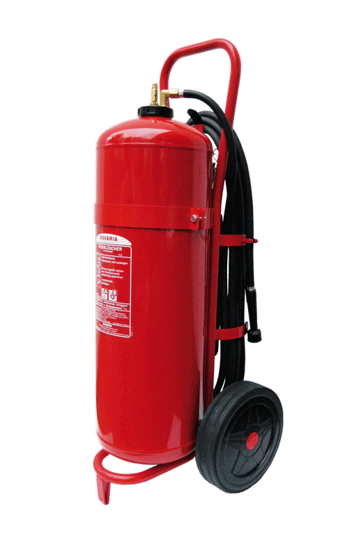 ماكسيموس فوم جيت